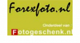 Logo Forexfoto