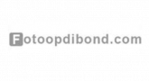 Logo Fotoopdibond